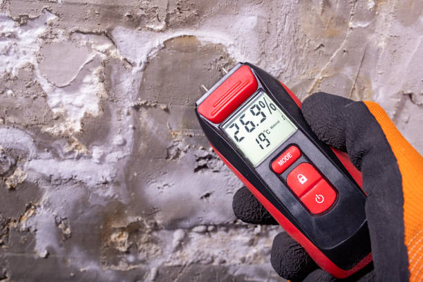 Best Professional Mold Removal  in North Haverhill, NH