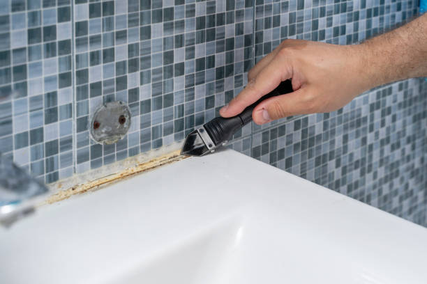  North Haverhill, NH Mold Removal Pros